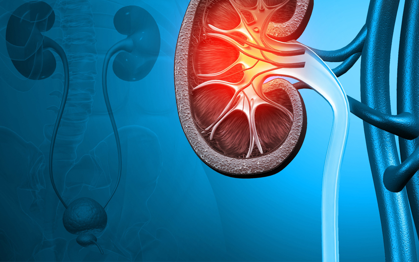 Kh&aacute;i niệm về Bệnh thận mạn v&agrave; Suy thận mạn &ndash; PGS. ĐỖ GIA TUYỂN