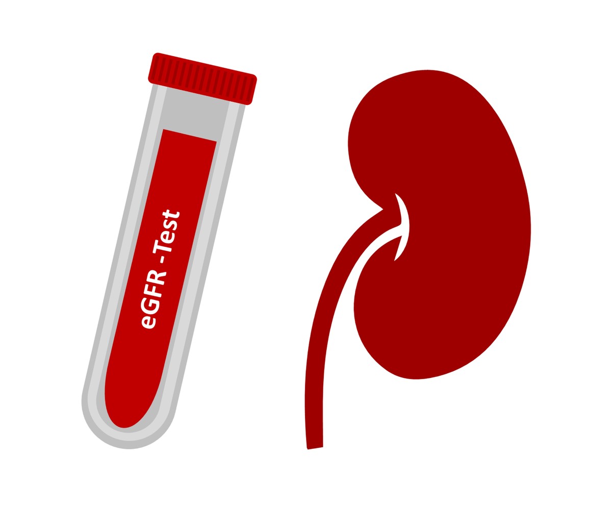 Dùng công thức tính mức lọc cầu thận nào để chỉnh liều thuốc điều trị ?